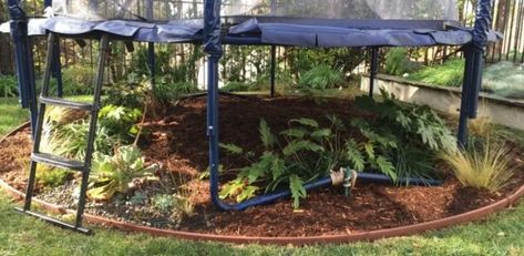 Garden Trampoline, Grass Alternative, Outdoor Trampoline, Backyard Trampoline, Herb Garden Design, Pond Design, Garden Design Ideas, Backyard Play, Backyard Inspo