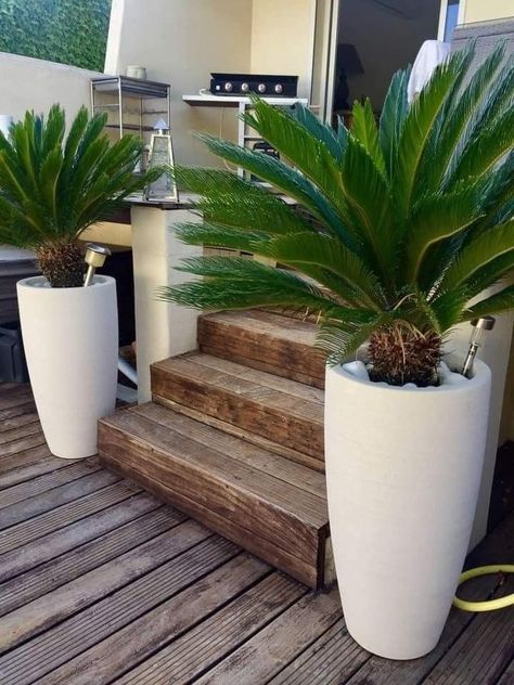 Planters Front Door, Tall Planters Front Door, Dream Garden Backyards, Front Lawn Landscaping, River Rock Garden, Backyard Covered Patios, Potted Plants Outdoor, Front Yard Garden Design, Fall Garden Vegetables