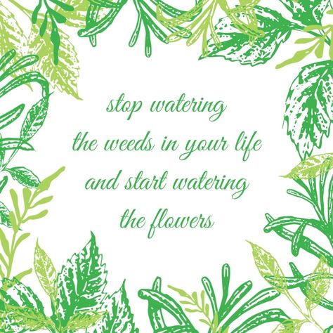 stop watering the weeds in your life and start watering the flowers Watering Quotes, Emily Howard, Flower Quote, Water Quotes, Flower Theme, Love Thoughts, Say That Again, Friday Feeling, Flower Quotes