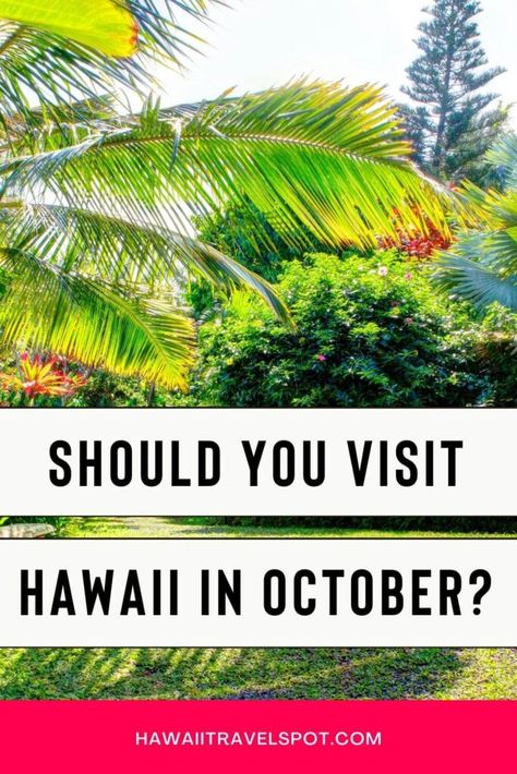 Is it Worth Visiting Hawaii in October? (2023) - Hawaii Travel Spot Hawaii In October, Things To Do In October, Fall Harvest Festival, Vacation To Hawaii, Best Hawaiian Island, Visiting Hawaii, Vacation In Hawaii, Hawaii Destinations, Vacation Itinerary