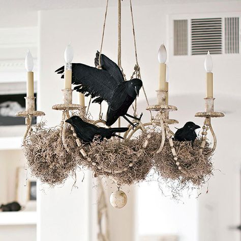 DIY: Raven Chandelier. Make a spooky statement in your home by building a raven's nest in the chandelier.  Make the Halloween craft: Spray-paint moss (purchased from a local crafts store) white and drape across your dining room chandelier. Hot-glue faux ravens or crows in place. Black & White Edgar Allan Poe & Alfred Hitchcock "Beware the Birds!" Halloween.Party. Fall Chandelier Decor, Planter Aesthetic, Halloween Chandelier, Halloween Lighting, Chandelier Diy, Easy Halloween Crafts, Spooky Halloween Decorations, Halloween Decorating, Halloween Tags