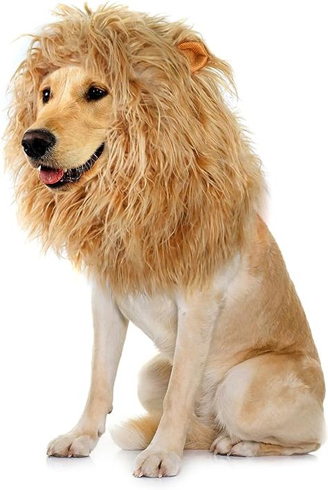 Onmygogo Lion Mane Wig for Dogs with Ears, Funny Pet Costumes for Halloween (Size L, Yellow) #affiliate Dog Lion Costume, Dog Lion Mane, Funny Pet Costumes, Funny Moose, Dog Costumes Funny, Funny Lion, Costumes For Halloween, Lion Costume, Lion Dog