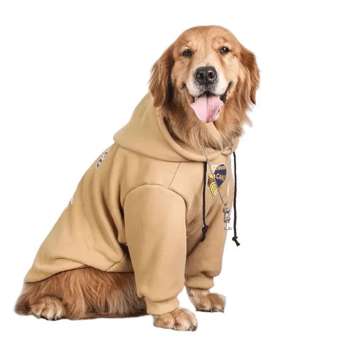 Big Dog Costumes, Big Dog Sweaters, Big Dog Clothes, Labrador Golden Retriever, Large Dog Clothes, Dog Winter Clothes, Border Terrier, Dog Sweatshirt, Dog Costumes