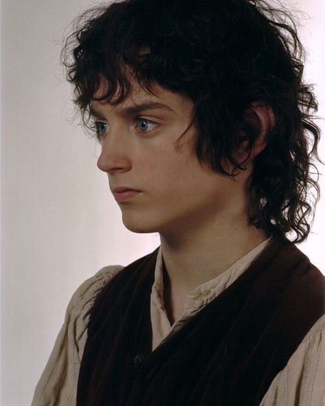 Frodo Baggins Hair, Frodo Baggins Drawing, Elijah Wood Frodo, Frodo Baggins Cute, Frodo Baggins Costume, Frodo Baggins Aesthetic, Lotr Frodo, It Film, Lord Of Rings