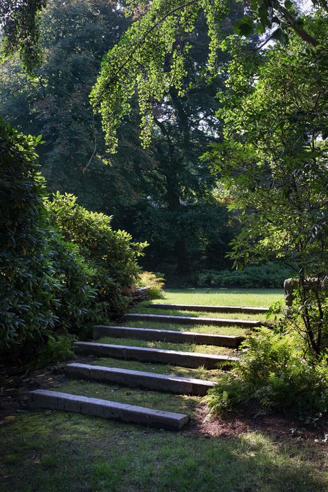 steps, turf Stone Steps, Garden Stairs, Garden Steps, Landscape Construction, Low Maintenance Garden, Outdoor Playground, Garden Tours, Back Gardens, Garden Cottage