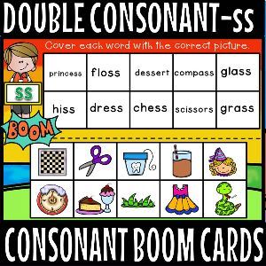 Boom Cards - Double consonant ss Double Consonants, Glass Dessert, The Sentence, English Language Arts, Boom Cards, Busy Bee, Free Learning, Distance Learning, Deck Of Cards