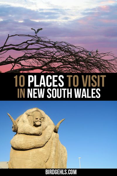 Looking to get a bit off the beaten track in New South Wales, #Australia (or in some cases, the East Coast entirely)? Here are a few alternative destinations worth visiting, such as Orange, Dubbo, Lake Macquarie and Tamworth. / Australian Travel Tips / #NSW / NSW Travel / Visit NSW / #SeeAustralia / Nsw Travel, Holidays Abroad, Dream Holidays, Melbourne Travel, Australian Road Trip, Beautiful Place In The World, Australia Travel Guide, Australian Travel, Oceania Travel