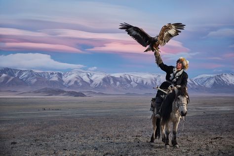 Portraits: Behind amazing story of Mongolian Eagle Hunters by Sasha Leahovcenco Mongolian Eagle Hunter, Mongolian Eagle, Eagle Hunter, Eagle Hunting, Loading Image, Altai Mountains, Photo Report, People Of The World, Commercial Photographer