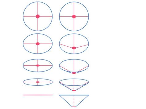 How to Foreshorten Flowers: Disk vs. Cone • John Muir Laws John Muir Laws, Drawing Plants, Flower Model, Drawing Flowers, Plant Drawing, John Muir, Watercolor Drawing, Drawing Tutorials, Technical Drawing