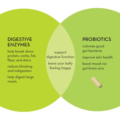 Digestive Enzymes Benefits, Probiotics Benefits, Digestive Enzymes Supplements, Good Gut Bacteria, Hum Nutrition, Probiotic Benefits, Happy Gut, Similarities And Differences, Digestive Enzymes