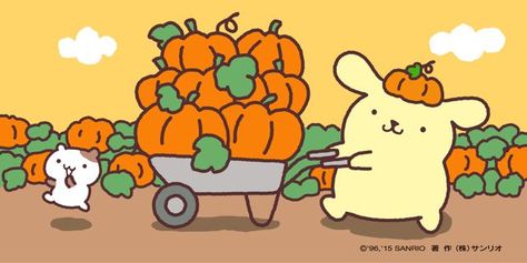 Pompompurin Macbook Wallpaper, Pompompurin Wallpaper Desktop, Fall Header, Pompompurin Halloween, Autumn Leaves Wallpaper, Pom Purin, Apple Festival, Fall Banner, Sanrio Wallpaper