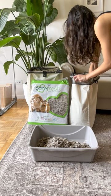 Litter Box For Rabbits, Rabbit Litter Box Ideas, Bunny Litter Box Ideas, Bunny Litter, Bunny Homes, Bunny Litter Box, Rabbit Litter, Rabbit Litter Box, Holland Lop