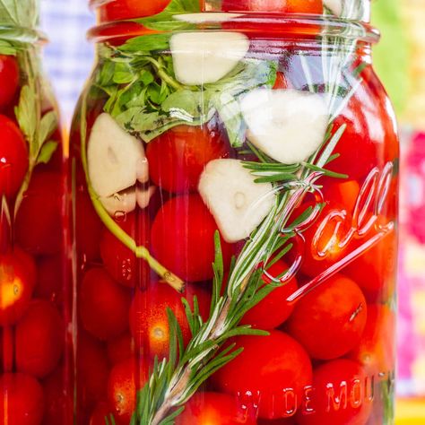 Pickled cherry tomatoes taste like pizza because they're made with minced garlic, oregano, salt! Store in refrigerator or can. Great for lots of tomatoes! Refrigerator Pickled Tomatoes, Canned Pickled Tomatoes, Refrigerator Pickled Cherry Tomatoes, Cherry Tomato Pickles, Cherry Tomatoes Pickled, Pickled Cherry Tomatoes Canned, Pickle Cherry Tomatoes, Tomato Preserves Canning Recipes, Pickle Tomatoes Recipe