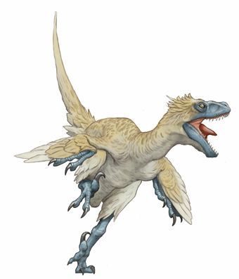 #LateCretacious #DinoBirds were decendants of #archaeopterix. But, they were not birds, and most did not become birds. Only the smallest got better at flying. The big ones, like this example, were #tooBigToFly. Only hatchlings flapped around. The adults lived as mid-size hunting dinosaurs. A few, the #therinzosaurs, grew quite large, and adspted an herbal diet. Evolution Of Life On Earth, Sneaker Party, Evolution Of Life, Feathered Dinosaurs, Dinosaur Images, Dinosaur Drawing, Dinosaur Pictures, Jurassic World Dinosaurs, Ancient Animals