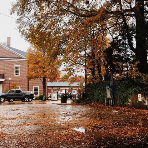 Mississippi Aesthetic, Oxford Mississippi, Northern Indiana, Fall Days, Fall Feels, Coffee Enthusiast, Autumn Cozy, Lombok, Autumn Aesthetic