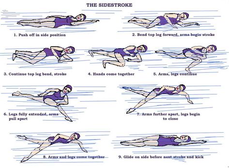 Swimming Drills, Swimming Strokes, Deep Sea Diving, Swimming Tips, Diagram Design, Swimming Workout, Swimming Diving, Beauty And Fashion, Cartoon Drawings