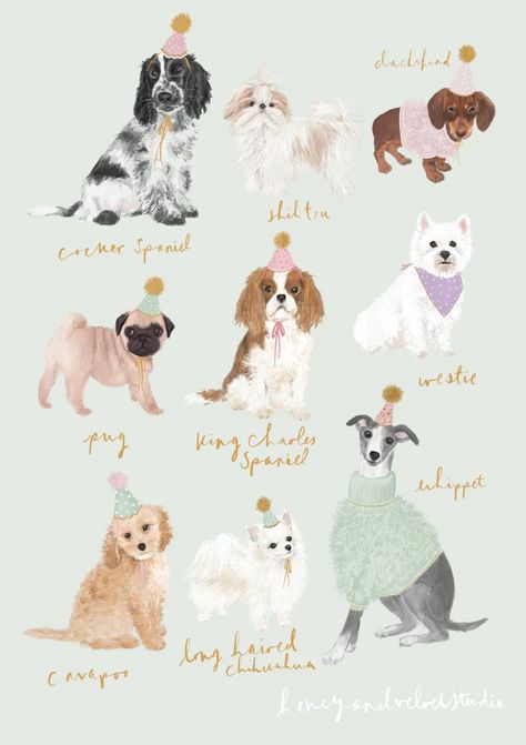 Dog Breed Illustration, Dog Breeds Illustration, Dog Christmas Card Illustration, Cavapoo Illustration, Cats And Dogs Illustration, Whippet Illustration, Whippet Drawing, Dog Art Illustration, Chihuahua Illustration