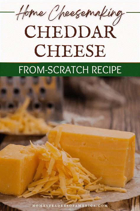 How to Make Cheddar Cheese - Homesteaders of America How To Make Cheddar Cheese, Diy Cheddar Cheese, Sharp Cheddar Cheese Recipes, Homemade Cheddar Cheese, Homemade Cheese Recipes, Home Made Cheese, Made From Scratch Recipes, Cheddar Cheese Recipes, Cheese Recipes Homemade