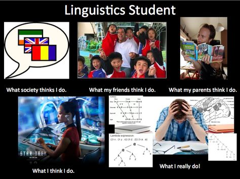 Memes About School, Linguistics Major, Linguistics Humor, Linguistics Study, English Major, Student Humor, About School, Language Study, Speech Language Pathology