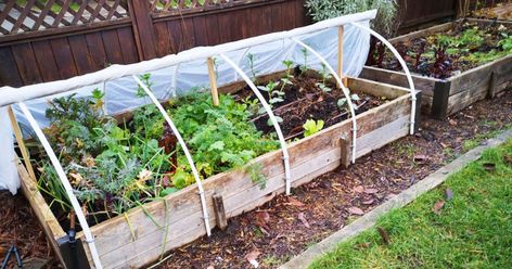 How to make a retractable PVC hoop house in 6 easy steps Backyard Nursery, Pvc Greenhouse, Garden Cloche, Hoop House, Crop Production, Garden Netting, Herb Garden Design, Vegetable Garden Planning, Raised Garden Beds Diy