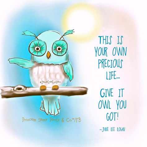 ............give it OWL you got !  hoot hoot ! Owl Sayings, Sassy Pants Quotes, Owl Quotes, Kelsey Rose, Owl Wisdom, Owl Wallpaper, Owl Collection, Sassy Pants, Owl Family