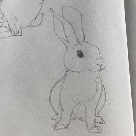 Draw Bunny, Bunny Standing, Lovely Illustrations, Pencil Drawings Of Animals, Bullet Journal Mood, Swag Art, Sketchbook Art Inspiration, Pencil Art, Art Sketchbook