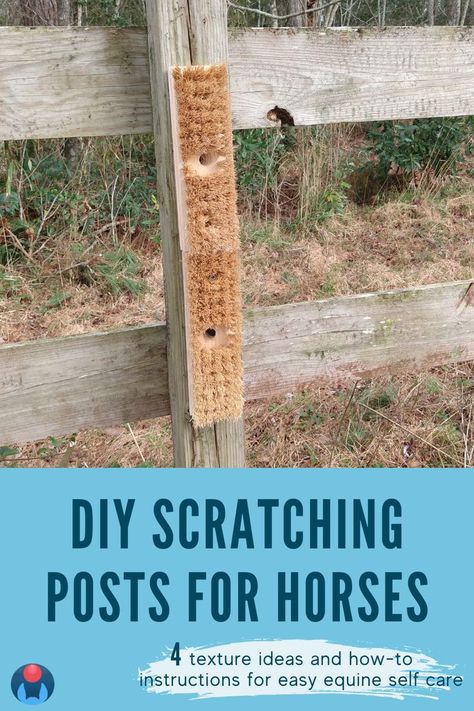 A picture of a DIY horse scratching post made from brushes on a horse fence. Text beneath on blue background reads: DIY Scratching Posts for Horses. 4 texture ideas and how to instructions for easy equine self care. Diy Cow Scratching Post, Horse Scratching Post Diy, Cow Scratching Post, Diy Hitching Post For Horses, Diy Horse Enrichment Toys, Horse Hitching Post Ideas, Horse Diy Projects, Horse Hacks Diy Ideas, Horse Scratching Post