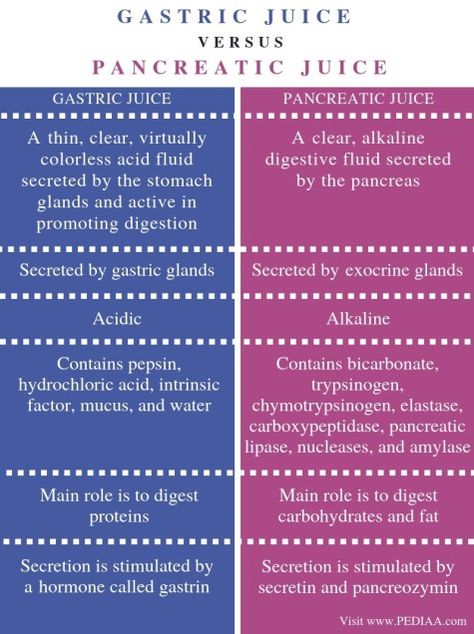 What is the Difference Between Gastric Juice and Pancreatic Juice Check more at https://in4arts.com/what-is-the-difference-between-gastric-juice-and-pancreatic-juice.html Human Body Diagram, Exocrine Gland, Gastric Juice, Body Diagram, Nursing School Motivation, What Is The Difference Between, Neon Wallpaper, Medical Science, School Motivation