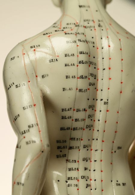 Acupuncture Points Chart, Echinacea Benefits, Meridian Points, Acupuncture Benefits, Shiatsu Massage, Massage Benefits, Acupuncture Points, Acupressure Points, Health Guide