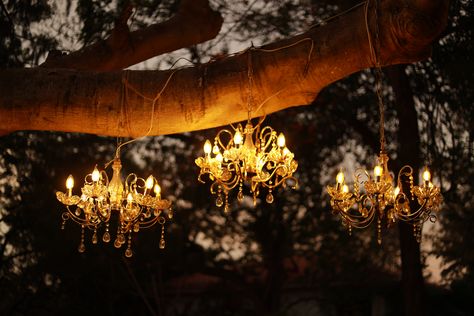 #destinationweddinggoa #quirkydecor #breezymehendi #goawedding #idomahabs #flamingodecor #weddingplanning #themedecor #destinationwedding #resortwedding #weddingsbymc #designanddecor #themedmehendi #beachweddings #weddingdecorinspiration #weddingdecorideas Chandelier Tree, Old Chandelier, Upcycle Garden, Outdoor Chandelier, Outdoor Chandeliers, Outdoor Entertaining, Fairy Lights, Diy Design, A Tree