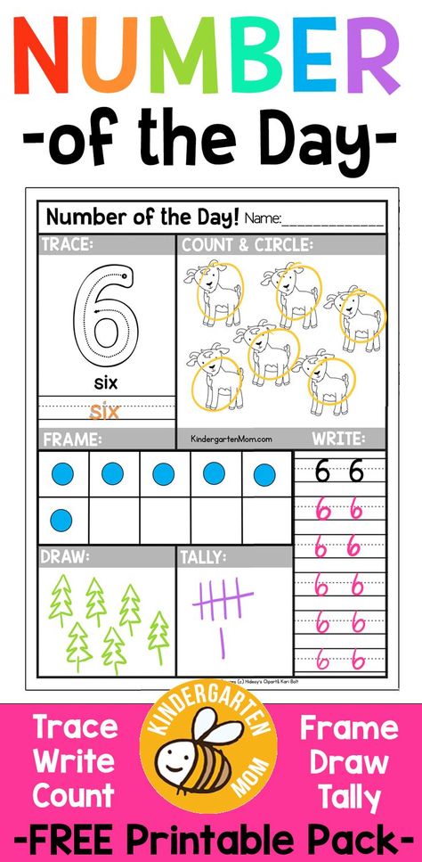 Free Number of the Day Worksheets!! Free printable  Number of the Day Worksheets for Preschool & Kindergarten. Students Trace, Write, Draw, Count, Color, Frame, Tally and more! via @prekmoms Number Recognition Activities Preschool, Kindergarten Math Printables, Number Recognition Activities, Free Math Printables, Number Of The Day, Worksheet For Kids, Numbers Kindergarten, Kindergarten Lesson Plans, Numbers Preschool