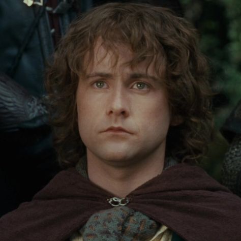 Pippin Took, Pippin Lotr, 2000s Lookbook, Aesthetic Lord Of The Rings, Lord Of The Rings Aesthetic, Lord Of The Rings Characters, Merry Brandybuck, Hobbit Aesthetic, Lotr Aesthetic