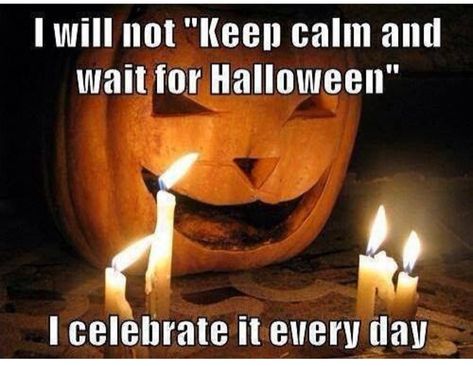 Halloween Meaning, Ghost Ghouls, Blessed Samhain, Halloween Memes, Halloween Queen, Halloween Countdown, Roblox Game, Pumpkin Seed, Halloween Quotes