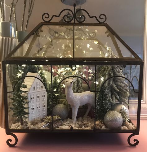 Terrarium Christmas Ideas, Xmas Terrarium, Christmas Terrariums, January Decor, Cloche Decor, Christmas Shadow Boxes, Christmas Vignettes, Country Christmas Decorations, Christmas Centerpieces Diy