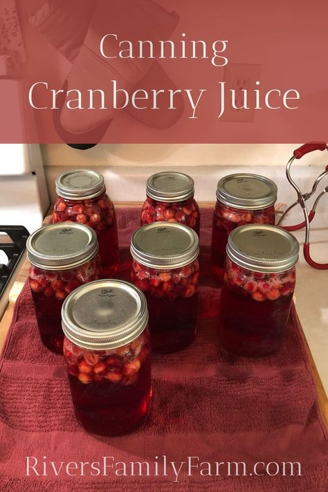 Canning Drinks, Homemade Cranberry Juice, Drinks With Cranberry Juice, Unsweetened Cranberry Juice, Honey Lemonade, Smoothie Benefits, Canned Cranberries, Canning Fruit, Canning Ideas