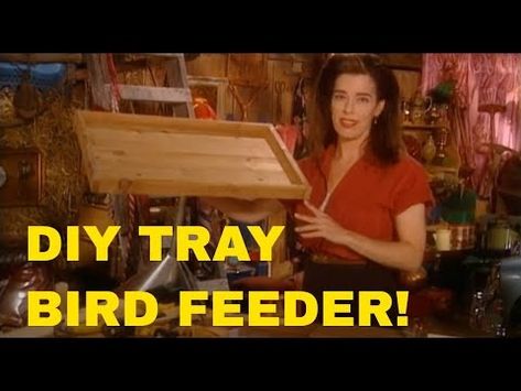 Easy DIY squirrel-proof platform bird feeder in an afternoon! - YouTube Diy Squirrel Feeder Easy, Diy Squirrel Feeder, Bird Feeder Diy, Platform Bird Feeder, Squirrel Feeder, Diy Tray, Diy Bird Feeder, Introduce Yourself, Bird Feeder