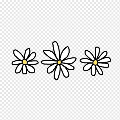 Daisy Daisy Margaritas Flores Aesthetic, Daisy Black And White, Common Daisy, White Flower Png, Flores Aesthetic, Drawing Princess, Aesthetic Animated, Oxeye Daisy, Daisy Drawing