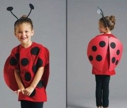 Ladybug Crafts Ideas Ladybug Costume Kids, Ideas For Yard, Diy Fantasia, Ladybug Wings, Black Hair Band, Bug Costume, World Book Day Costumes, Ladybug Costume, Book Day Costumes