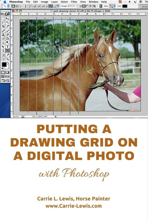 Putting a Drawing Grid on a Digital Photo Drawing Grid, Pencil Drawing Ideas, Photoshop 7, Pencil Drawing Tutorials, Beginner Photo Editing, Photoshop For Photographers, Photoshop Art, Photoshop Photography, Color Pencil Drawing