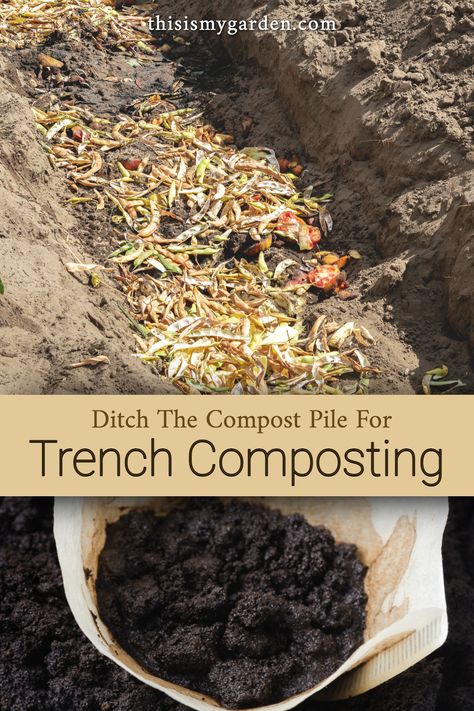 Large Compost Pile, In Ground Composting, Trench Composting, Backyard Composting, Allotment Planning, Composting Tips, Worm Beds, Garden Farming, Veggies Garden