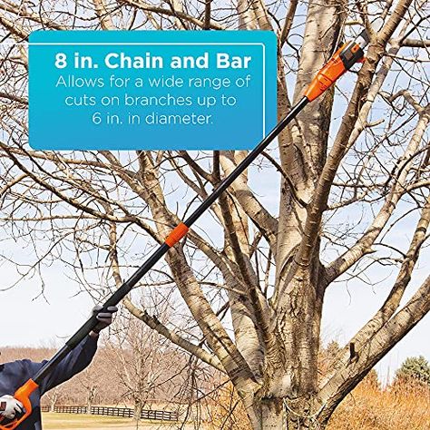 Best Pole Saw - Cut Those Hard-to-Reach Branches | OutsideModern Locking Collar, Pruning Saw, Pole Saw, Saw Tool, Hamilton Beach, Pine Branch, Tall Trees, Black & Decker, Lithium Ion Batteries