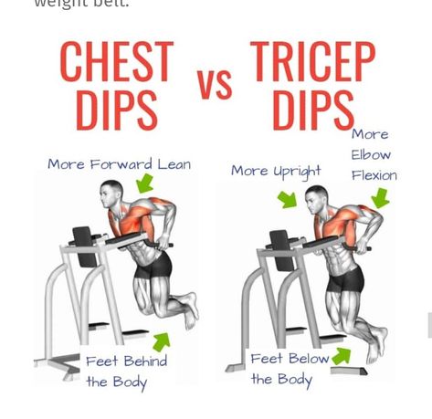 Chest Dips, Workout Chest, Dip Workout, Chest Workout At Home, Cardio For Fat Loss, Best Chest Workout, Full Body Workout Routine, Workout Splits, Tricep Dips