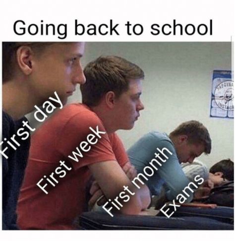 Evolution of academic exhaustion. #schoolsupplyboxes High School Memes, Class Memes, School Memes, School Pictures, Going Back To School, School Humor, Edgy Memes, Really Funny, Funny Jokes