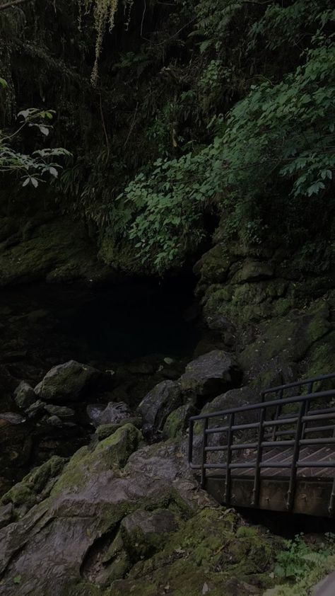 Dark Green Scenery, Dark Forests, Beach Forest, Mountains Flowers, Dark Naturalism, Dark Forest Aesthetic, Rainy Day Aesthetic, Dark Landscape, Dark Green Aesthetic