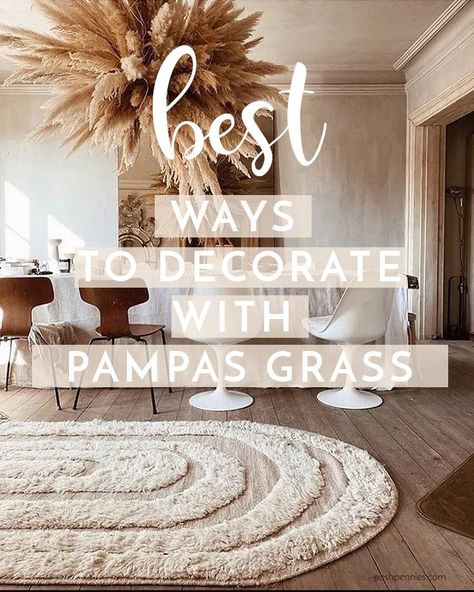 Faux Pampas Decor, Pampas Grass Care How To Grow, Decoration With Pampas, Colored Pampas Grass Decor, Faux Pampas Grass Decor Home, How To Decorate With Pampas, Decorating With Pampas Grass Plumes, Pampas Decor Home, Decorating With Pampas