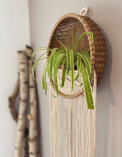 Home Organization Ideas Kitchen, Macrame Wall Basket, Organizing Ideas Home, Luxury Home Interior Design, Macrame Basket, Home Organization Ideas, Basket Crafts, Macrame Wall Hanging Patterns, Diy Plant Hanger