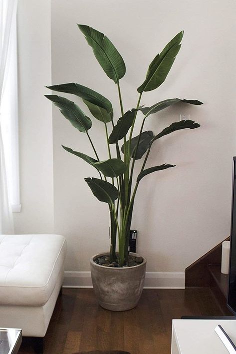 Large Fake Plants, Tall Fake Plants, Living Room Plants Decor, Faux Plants Decor, Birds Of Paradise Plant, Tall Indoor Plants, Best Artificial Christmas Trees, Bird Of Paradise Plant, Paradise Plant