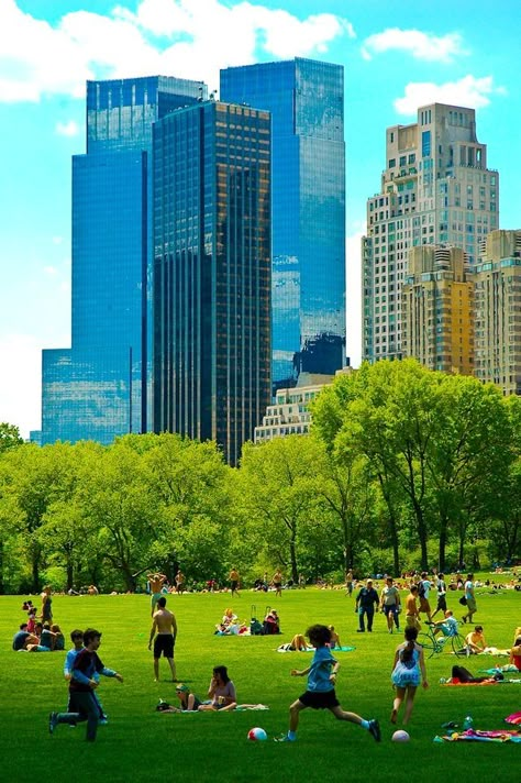 People Planting Trees, Central Park Manhattan, Park Aesthetic, City Landscapes, Spring In New York, Splendour In The Grass, Honeymoon Places, Summer In The City, New York Central