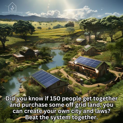 Well, when you put it that way... 🤩 Who would join us? #modernhomestead #homestead #offgrid #offgridliving #offgridcommunity #freedom Multi Generational Homestead, Off Grid Homestead Aesthetic, Modern Homestead Aesthetic, Community Homestead, Off Grid Community, Offgrid Homesteading, Commune Living, Homestead Community, Mountain Homestead