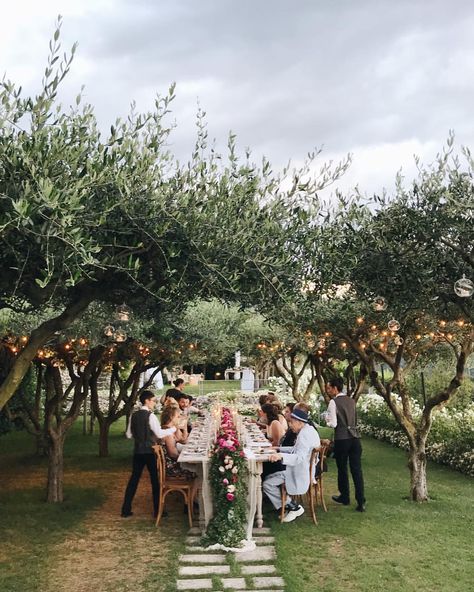 An intimate dinner under a cosy canopy of twinkling olive trees, all overlooking the dramatic Amalfi coast ✨. Can’t wait to share more of… Tiny Wedding, Intimate Dinner, Fabulous Wedding, Small Intimate Wedding, Olive Trees, Coast Wedding, Wedding Dinner, Tree Wedding, Italian Wedding